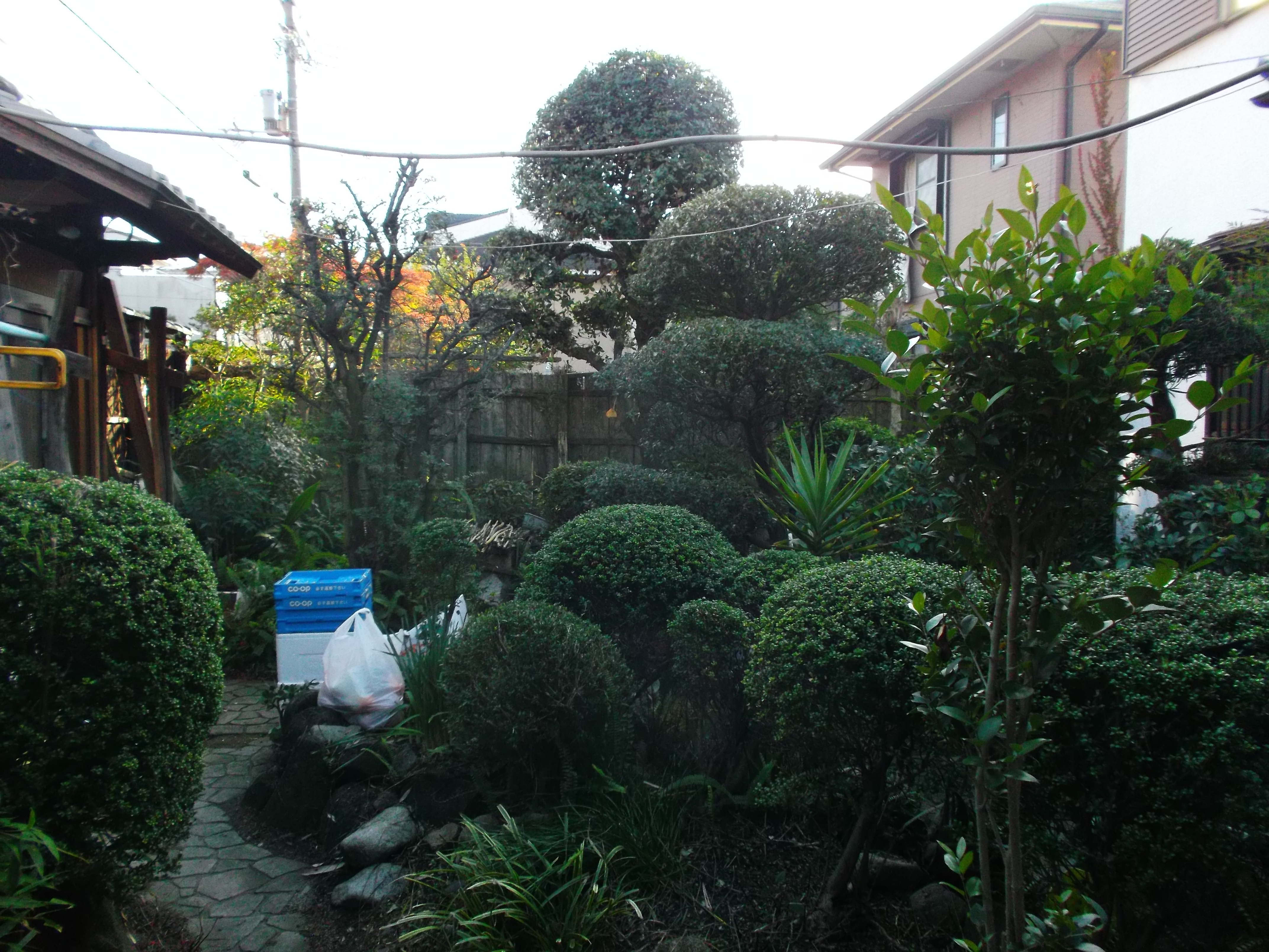 ザクロ等の剪定で出た枝をウッドチップにして利用 岸和田市 アーバングリーン 緑都庭園