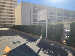 新たにオープンする駐車場の植栽を綺麗にするため植栽の伐採と剪定｜大阪市平野区