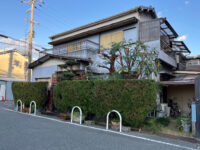 2、3年ほど放置して伸びすぎたカイヅカイブキ、ビワの木、モチノキ、モッコクを強剪定｜大阪府八尾市