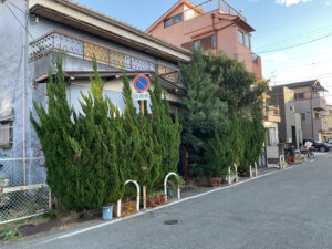 2、3年ほど放置して伸びすぎたカイヅカイブキ、ビワの木、モチノキ、モッコクを強剪定｜大阪府八尾市