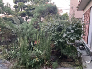 空き家の庭木を年末繁忙期にすき間時間を利用して剪定・伐採｜大阪府松原市