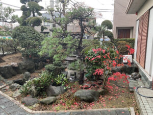 空き家の庭木を年末繁忙期にすき間時間を利用して剪定・伐採｜大阪府松原市