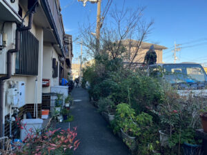 生活道路に並べた植木鉢の撤去処分と実生の木の伐採｜大阪府松原市