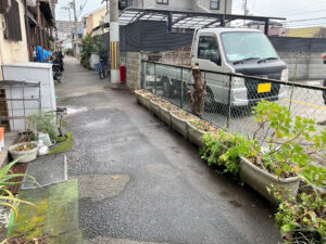生活道路に並べた植木鉢の撤去処分と実生の木の伐採｜大阪府松原市