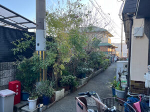 生活道路に並べた植木鉢の撤去処分と実生の木の伐採｜大阪府松原市