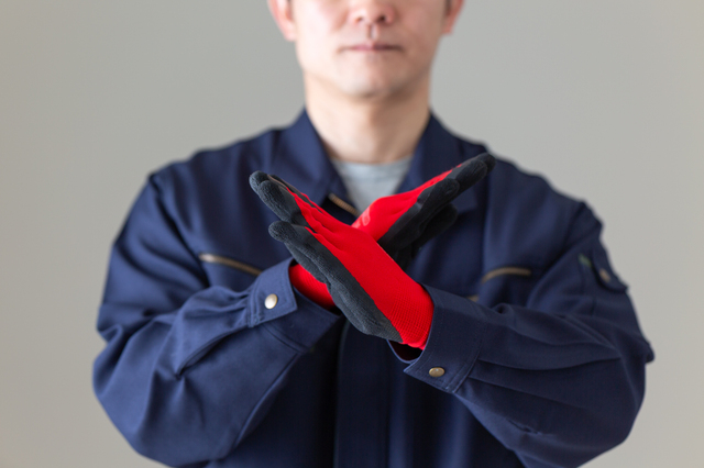 庭木の伐採費用が100万円超え!? 高額見積もりの理由と安く抑える対処法